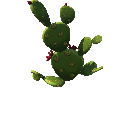 DE_Cactus_20a