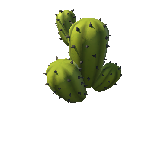 DE_Cactus_21a