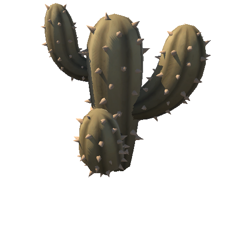 DE_Cactus_23c