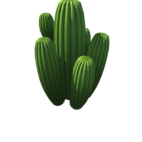 DE_Cactus_32a