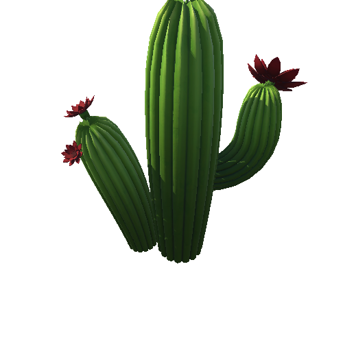 DE_Cactus_33a