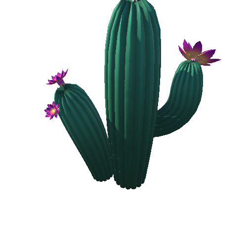 DE_Cactus_33b