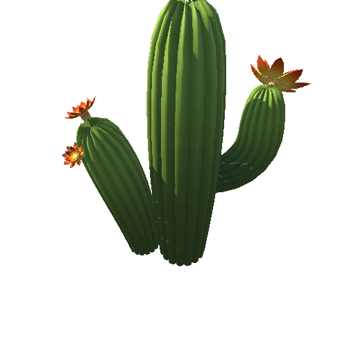 DE_Cactus_33c