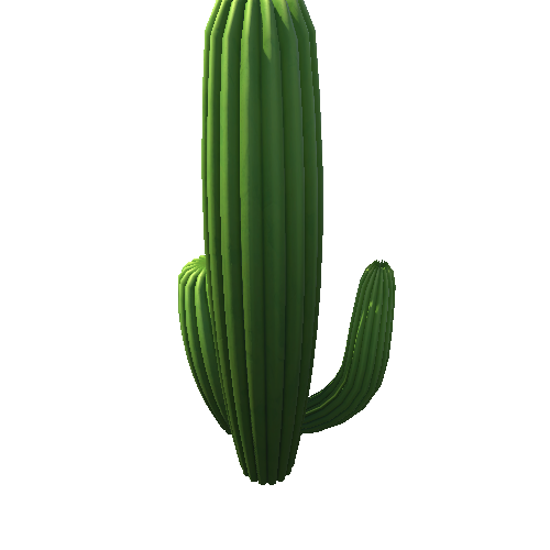 DE_Cactus_35a