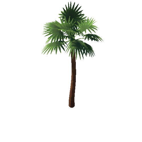 DE_Palmtree_06