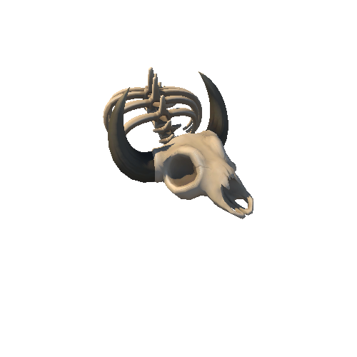 DE_Skeleton_01