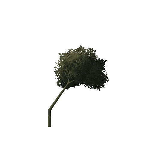 Branch_1A2