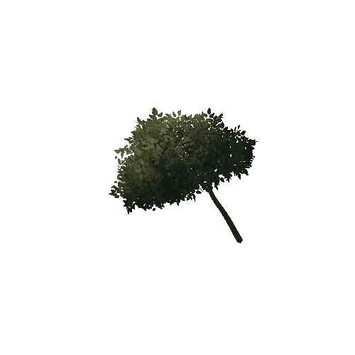 Branch_1A4