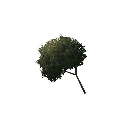 Branch_1A6