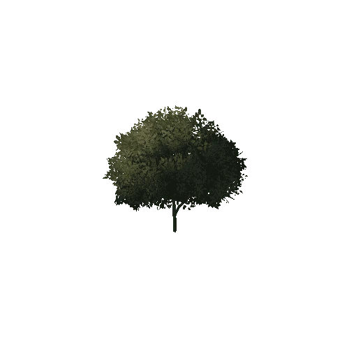 Branch_1A7