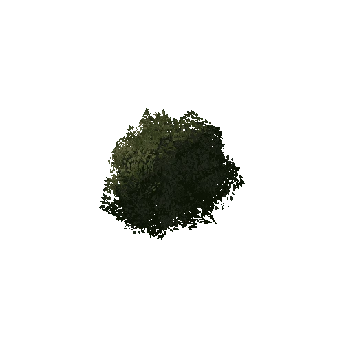 Bush_1A2