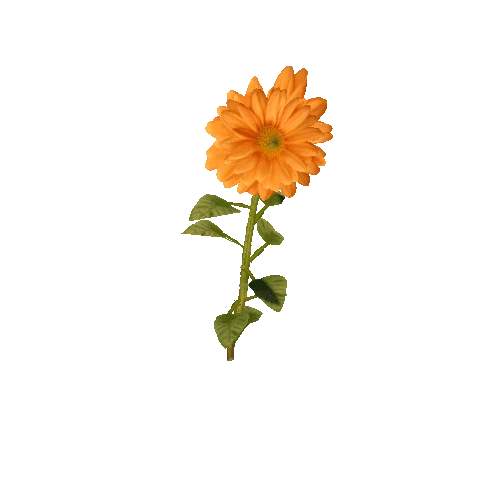 Flower_1A14