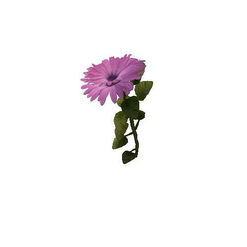 Flower_1A8