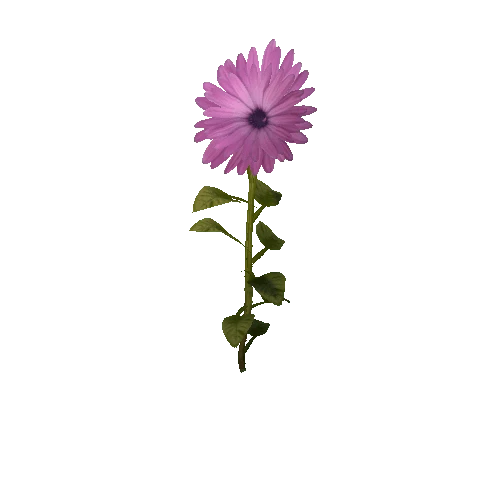 Flower_1A9