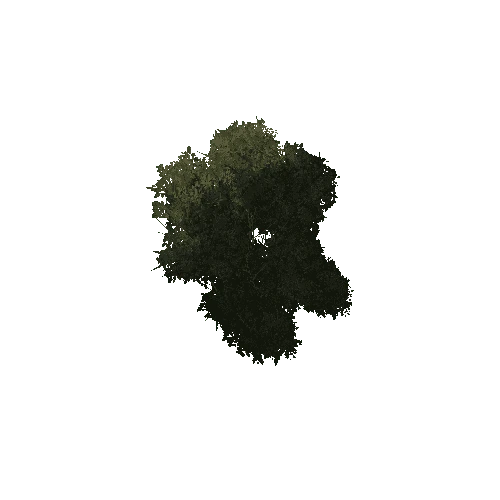 Large_Bush_1A1