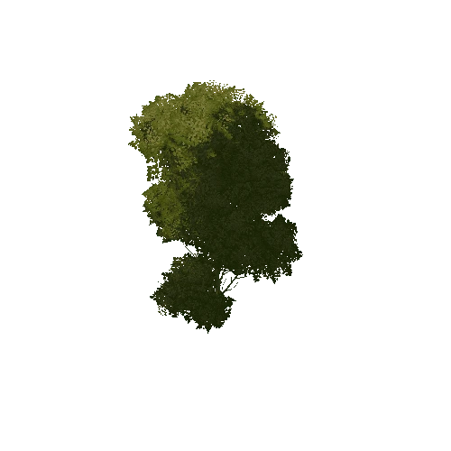 Large_Bush_1A4