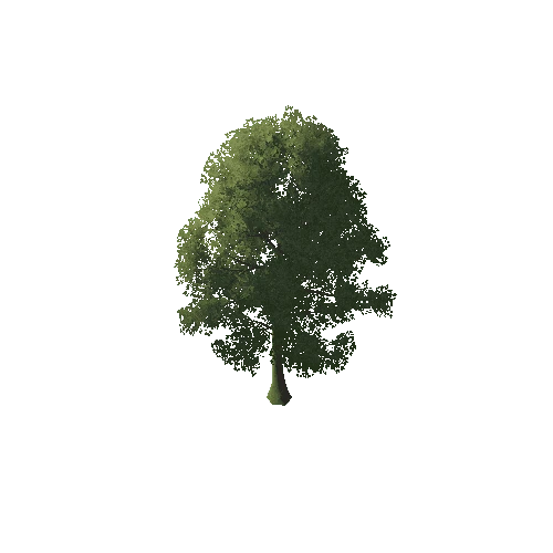 Massive_Tree_1A1