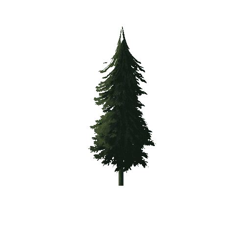 Pine_1B2