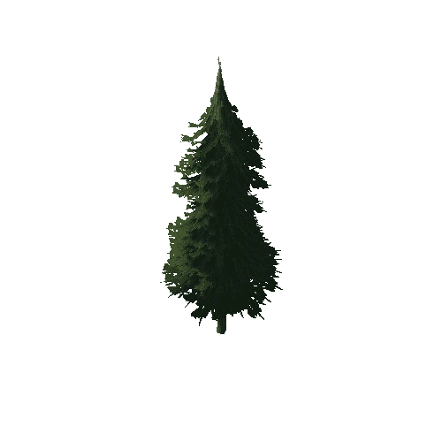 Pine_1B5