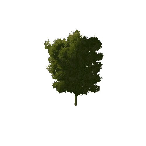 Small_Thin_Tree_1A3