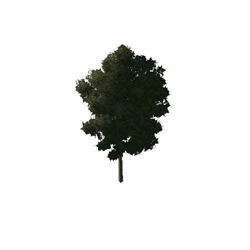 Small_Thin_Tree_1A4