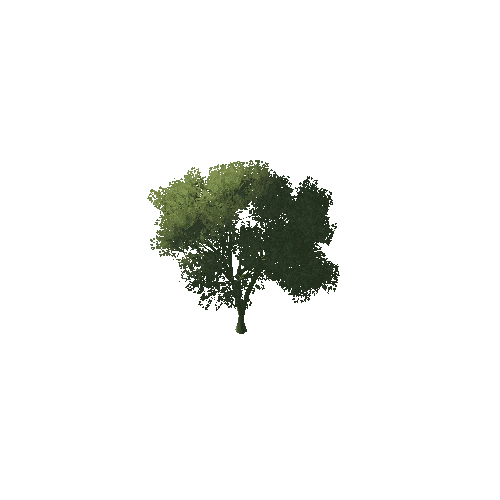 Split_Tree_1A2