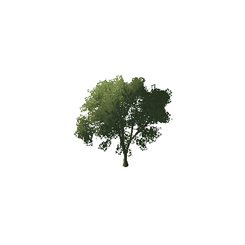 Split_Tree_1A3