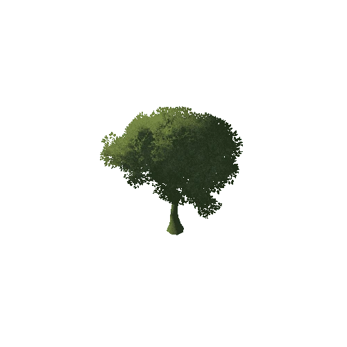 Thick_Tree_1A3