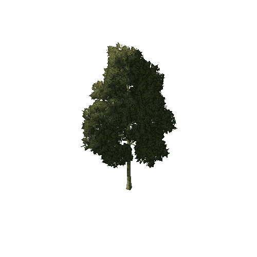 Tree_1A2