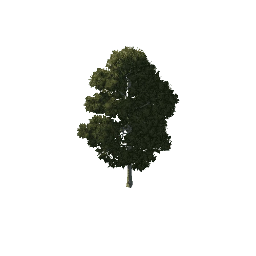 Tree_1A3