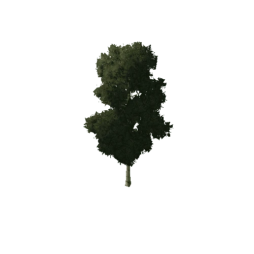 Tree_1A4