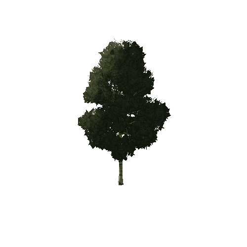 Tree_1A5