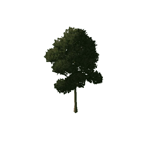 Tree_1B1