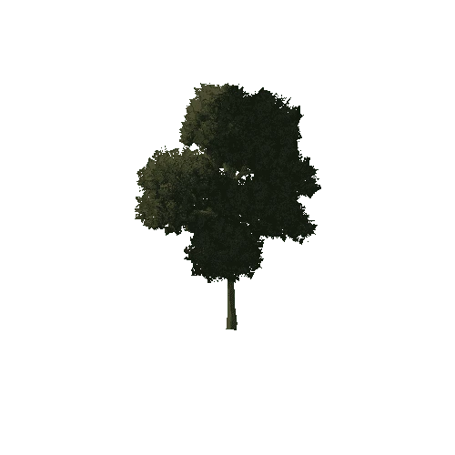 Tree_1B3