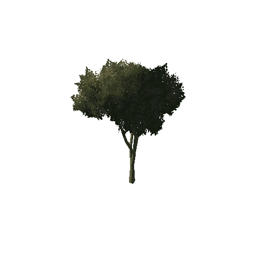 Tree_1C1