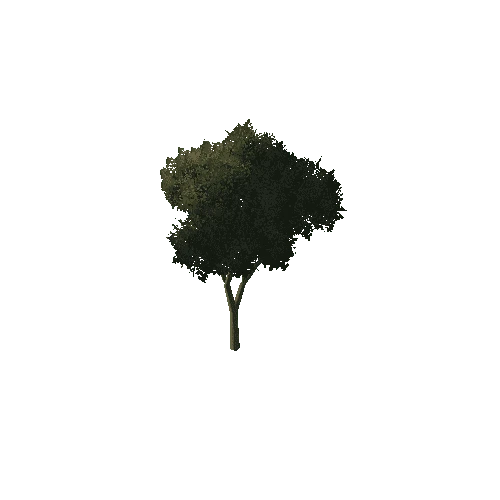 Tree_1C2