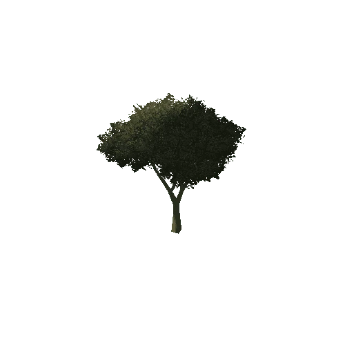 Tree_1C3