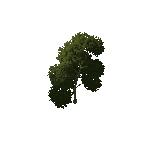 Tree_1E2