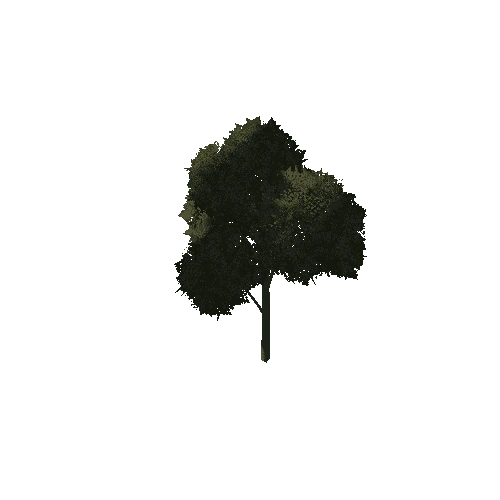 Tree_Module_1A1