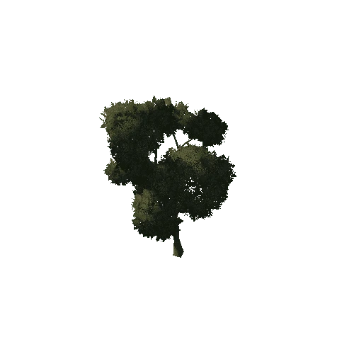 Tree_Module_1A2