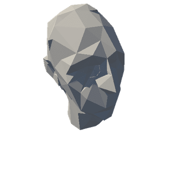 Head_1