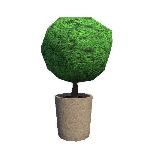 Bush_mid_1_1