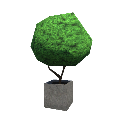 Bush_small_1_1