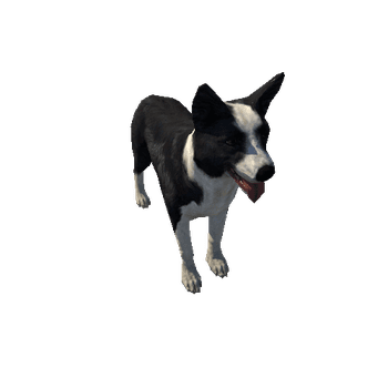 Collie_LowPoly