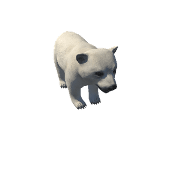 Polar_Bear_Cub_LOD's