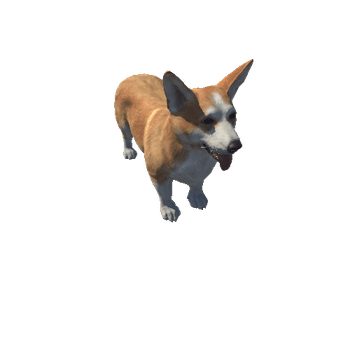 Corgi_HighPoly