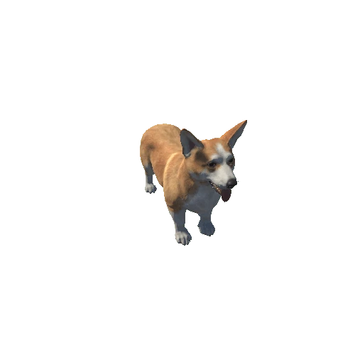 Corgi_HighPoly