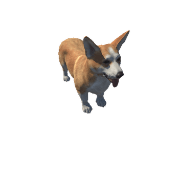 Corgi_LOD