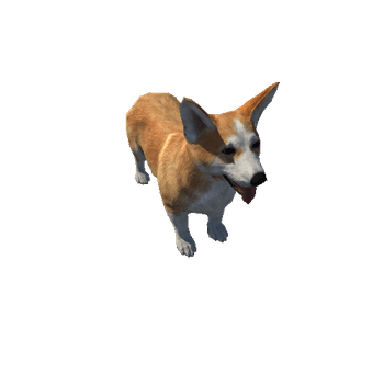 Corgi_LowPoly