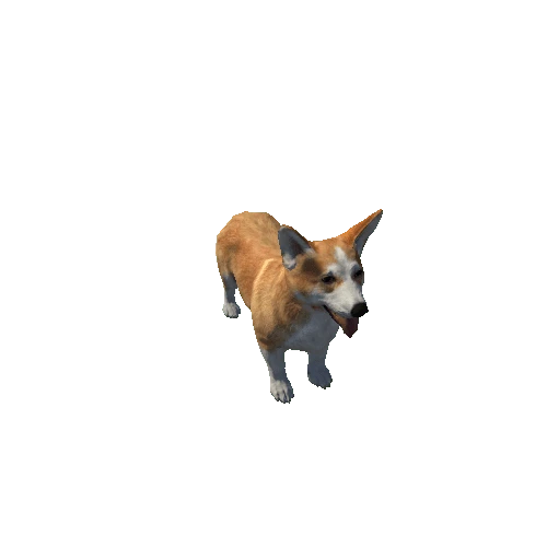 Corgi_LowPoly